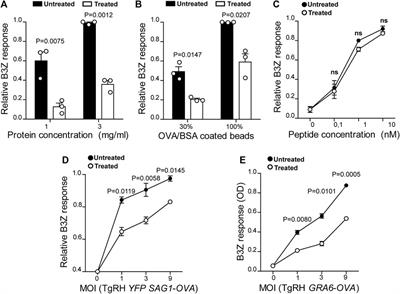 Efficient Cholesterol Transport in Dendritic Cells Defines Optimal Exogenous Antigen Presentation and Toxoplasma gondii Proliferation